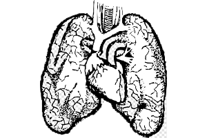service-logo