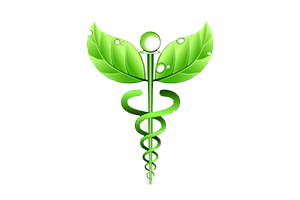 service-logo